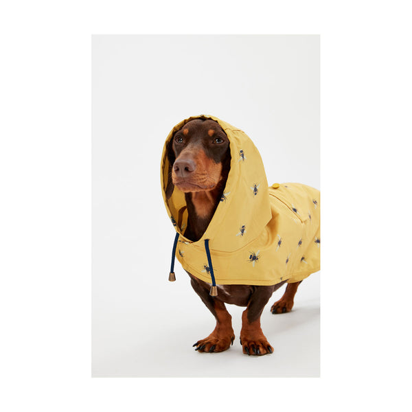 Dog wearing Joules GoLightly Packaway Jacket with hood up 