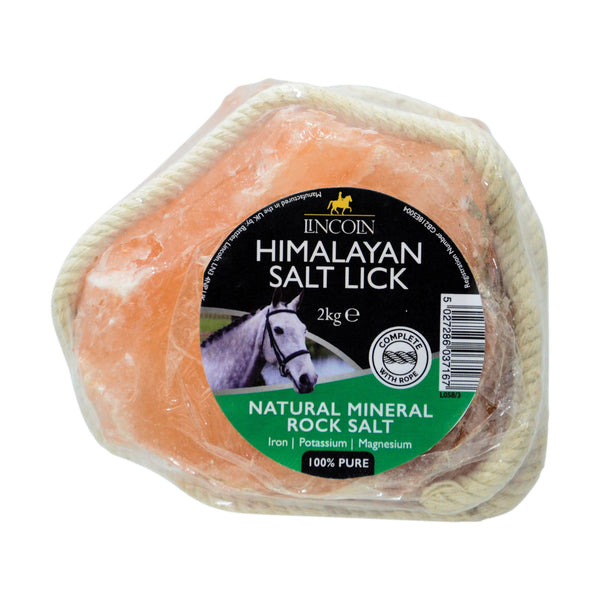 Lincoln Himalayan Salt Lick