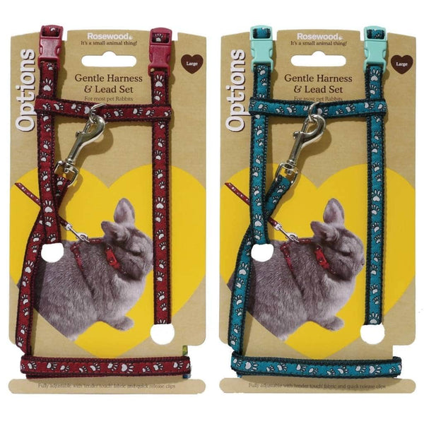 Paw Print Harness and Lead Set