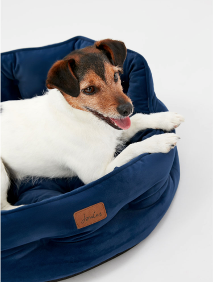 Dog laying in Joules Chesterfield Pet Bed in Navy