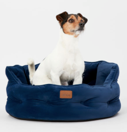 Dog sat in Joules Chesterfield Pet Bed in Navy