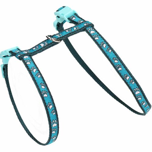 Paw Print Harness and Lead Set