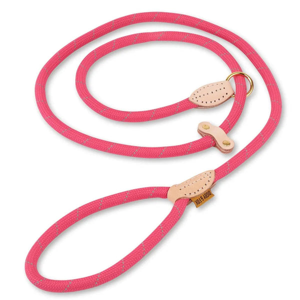 Digby & Fox Reflective Slip Dog Lead in pink