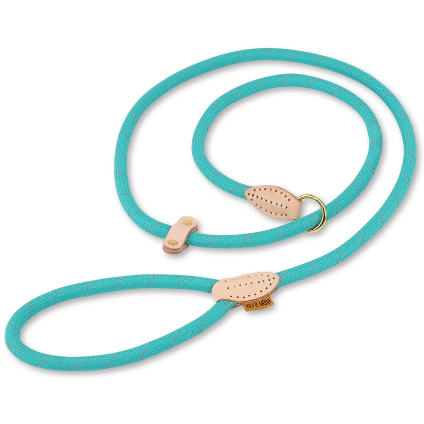 Digby & Fox Reflective Slip Dog Lead in teal