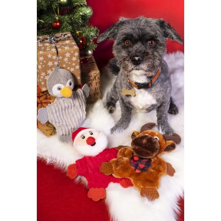 Crinkle Plush and Rubber Christmas Dog Toy