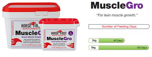 Horse First - MuscleGro