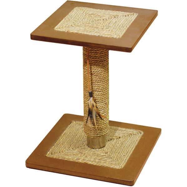 Oregano Cat Scratcher