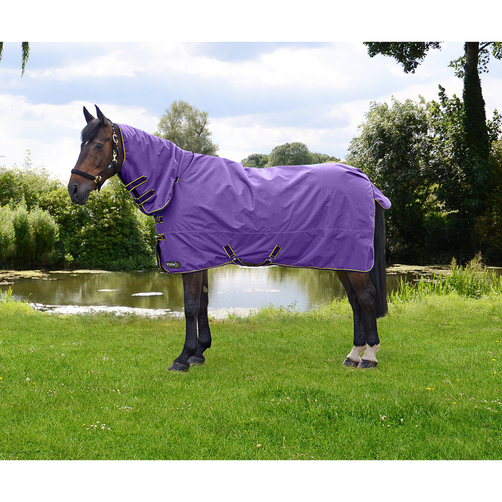 Horse wearing StormX Original 50 Combi Turnout Rug in purple