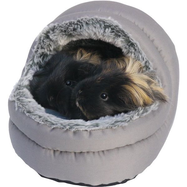 Two guinea pigs in Two-Way Hooded Bed