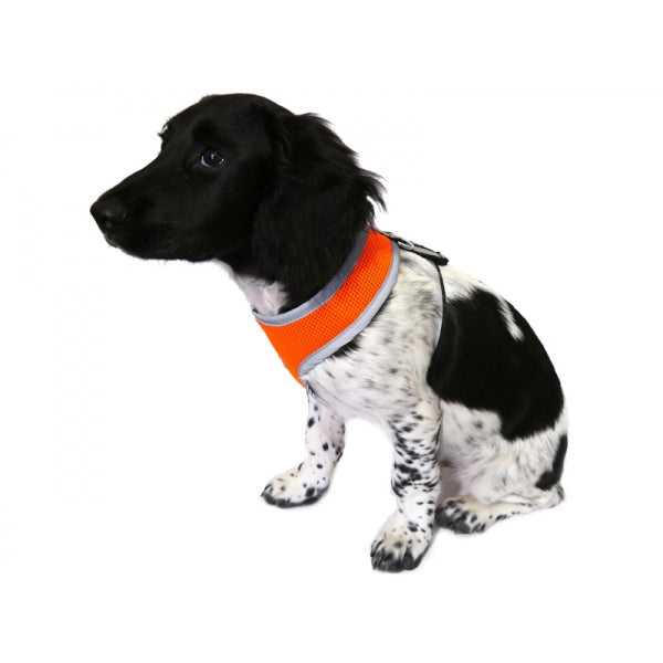 Reflective Padded Harness