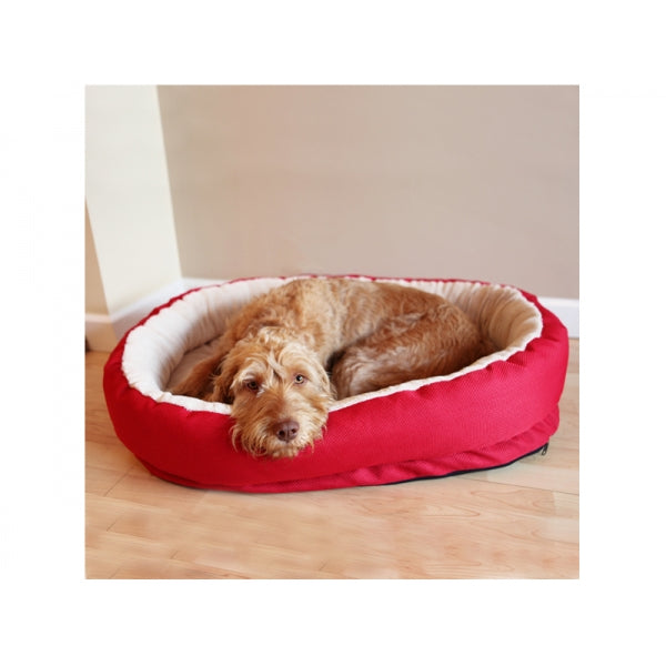 Dog laying in Red Orthopaedic pet bed