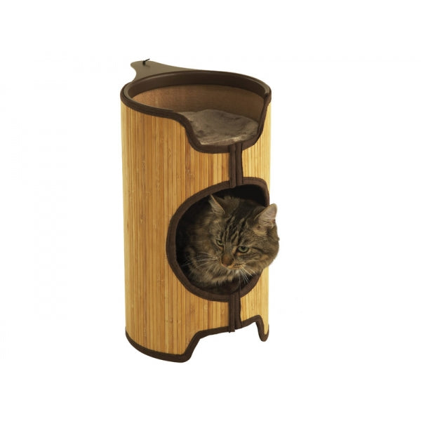 Cat in Bamboo Cat Tower
