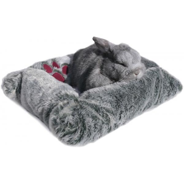 Rabbit in Luxury Plush Bed