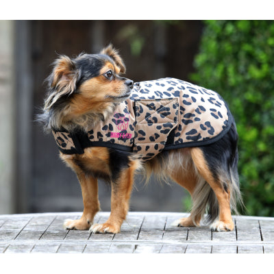 Small dog wearing Digby & Fox Leopard Print Dog Coat