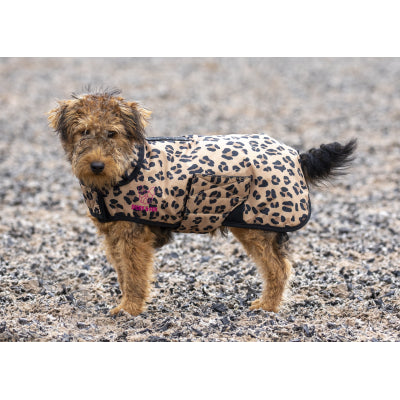 Dog wearing Digby & Fox Leopard Print Dog Coat