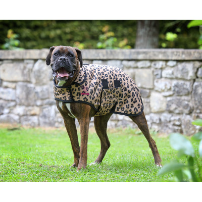 Large dog wearing Digby & Fox Leopard Print Dog Coat