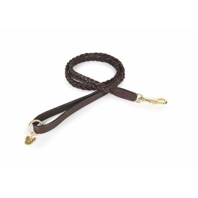 Digby & Fox Plaited Dog Lead in brown