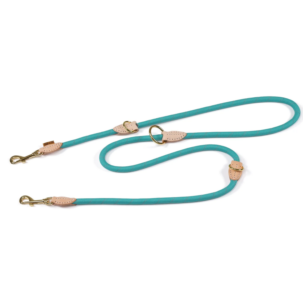 Digby & Fox Reflective Training Lead in teal
